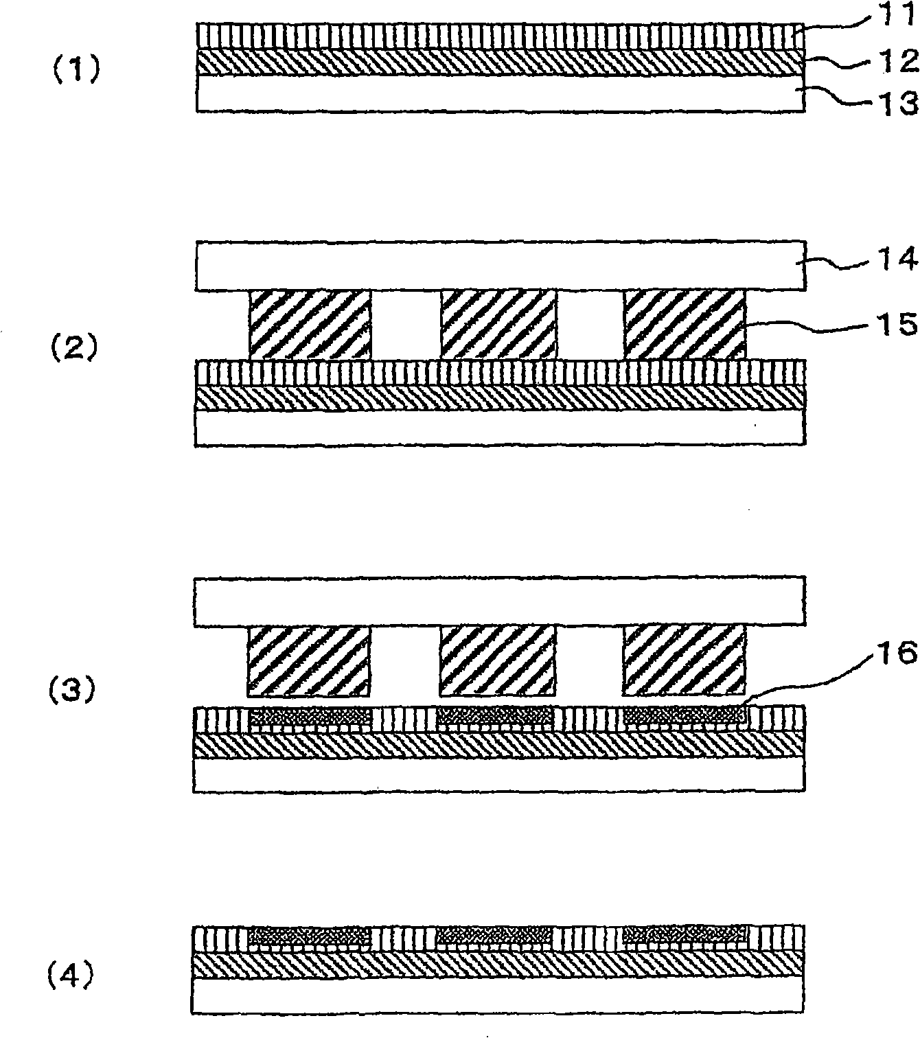 Treating solution for forming fluoride coating film and method for forming fluoride coating film