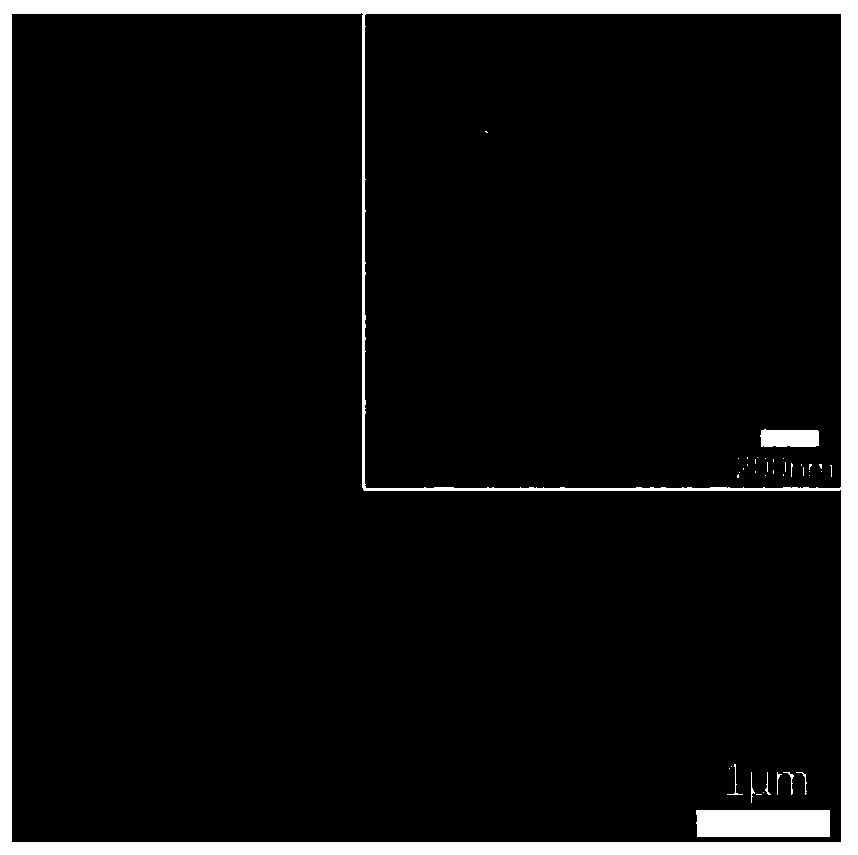 Self-assembly antibacterial coating based on nano-silver/D-cysteine and preparing method