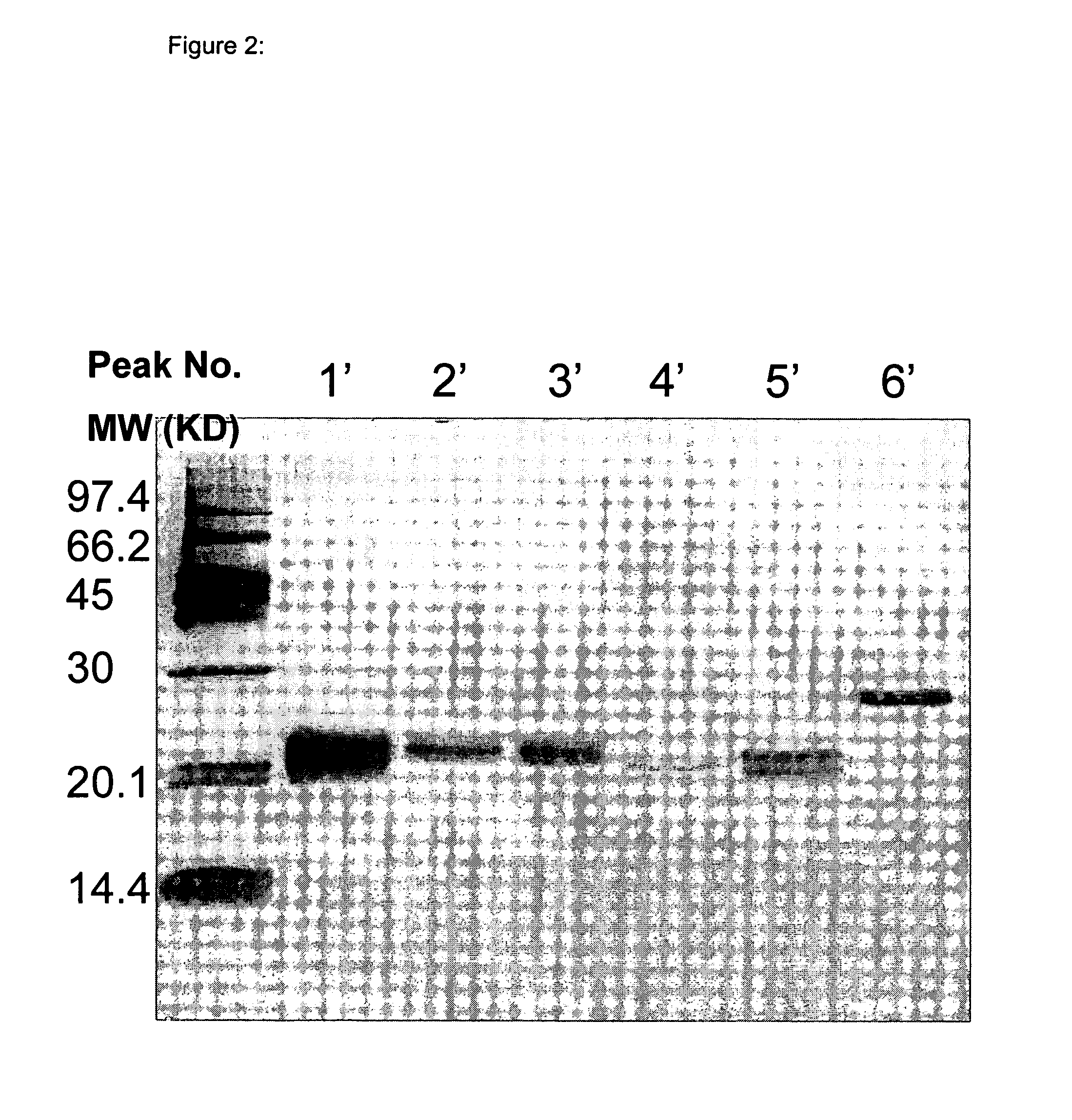 Composition comprising mixtures of IFN-alpha subtypes