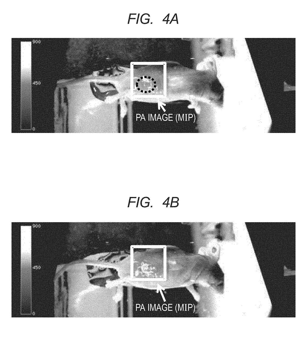 Polymer and contrast agent for photoacoustic imaging including the polymer