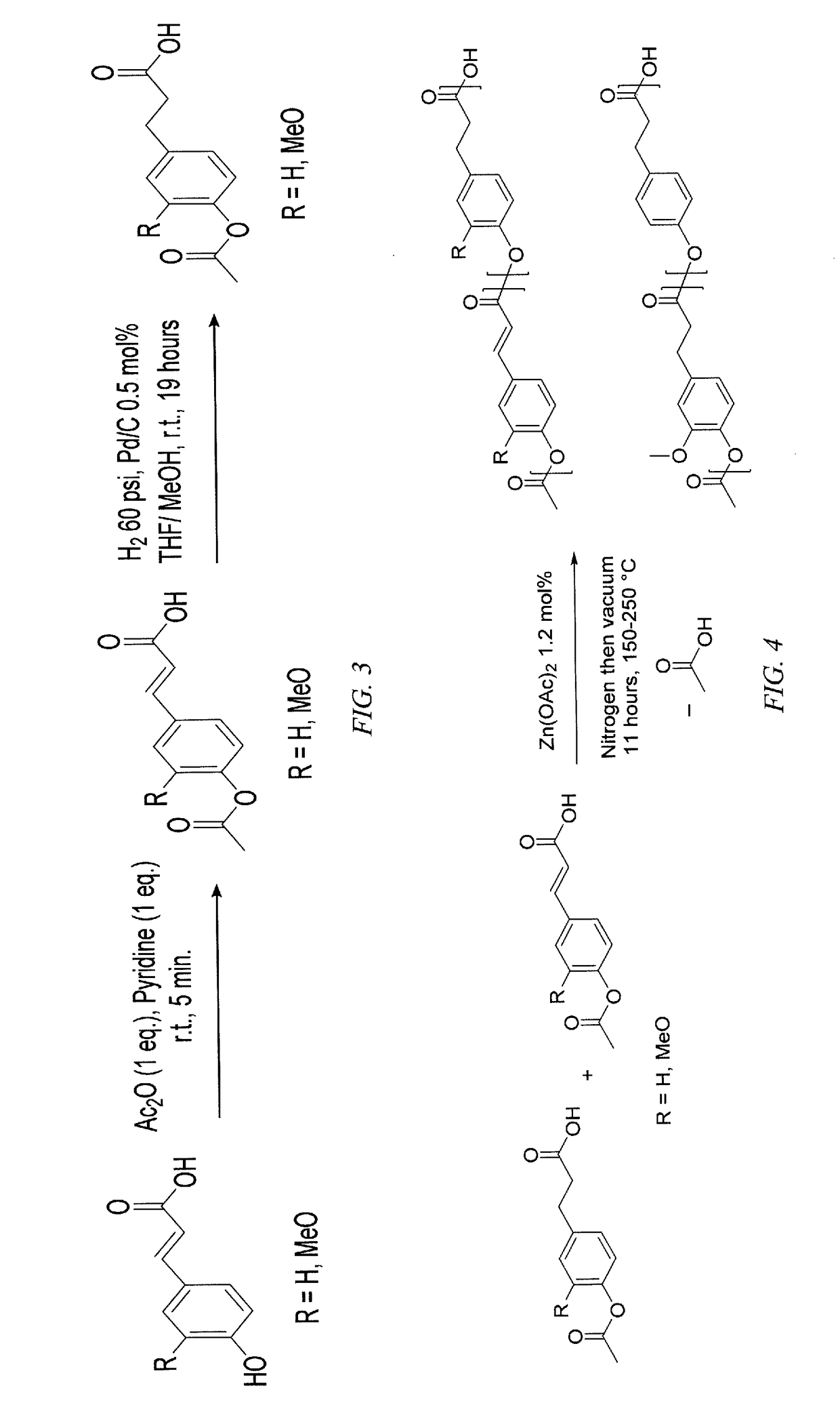 Ferulic acid and p-coumaric acid based polymers and copolymers