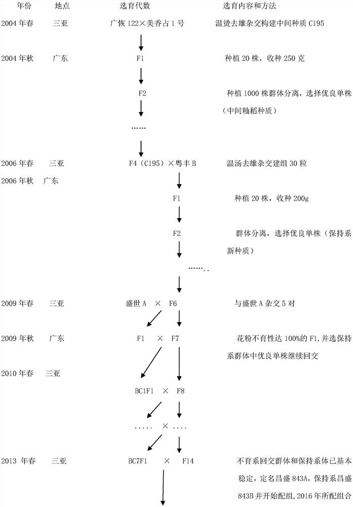 Breeding method of three-line indica rice male sterile line of wild beating type