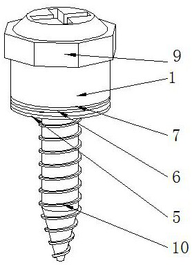 Fixed torque connecting piece anti-vibration buffer combined screw
