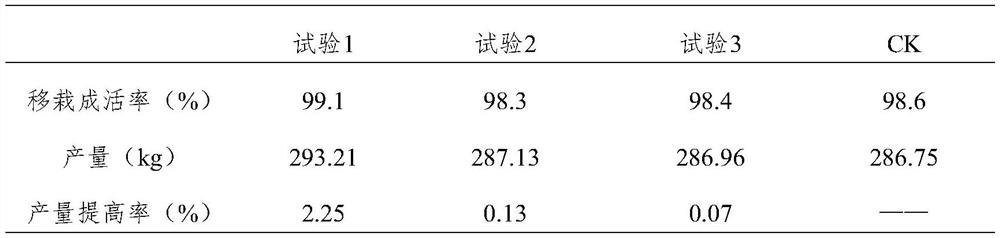 Growth promoting agent for breeding dendrobium nobile as well as preparation method and application of growth promoting agent