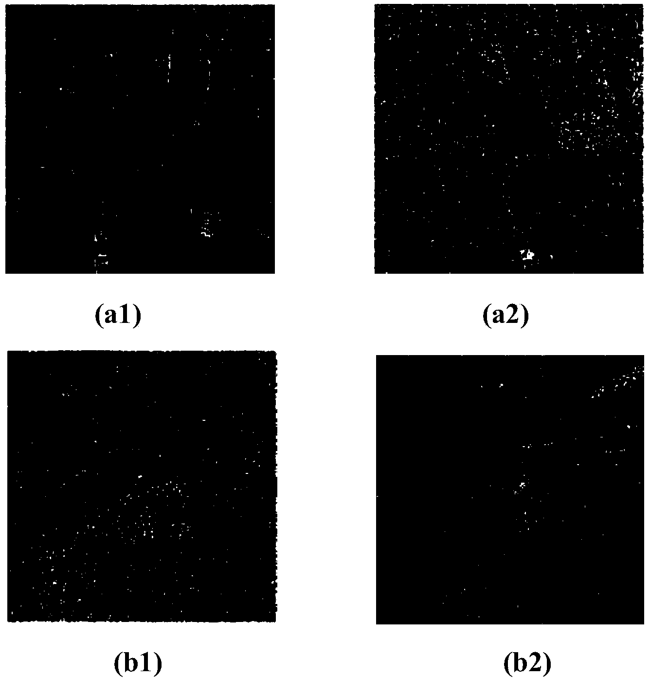 SAR image registration method based on salient division sub-region pair
