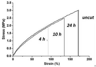 A polysiloxane with high-efficiency self-healing properties and its preparation method