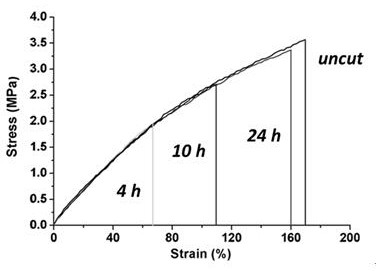 A polysiloxane with high-efficiency self-healing properties and its preparation method