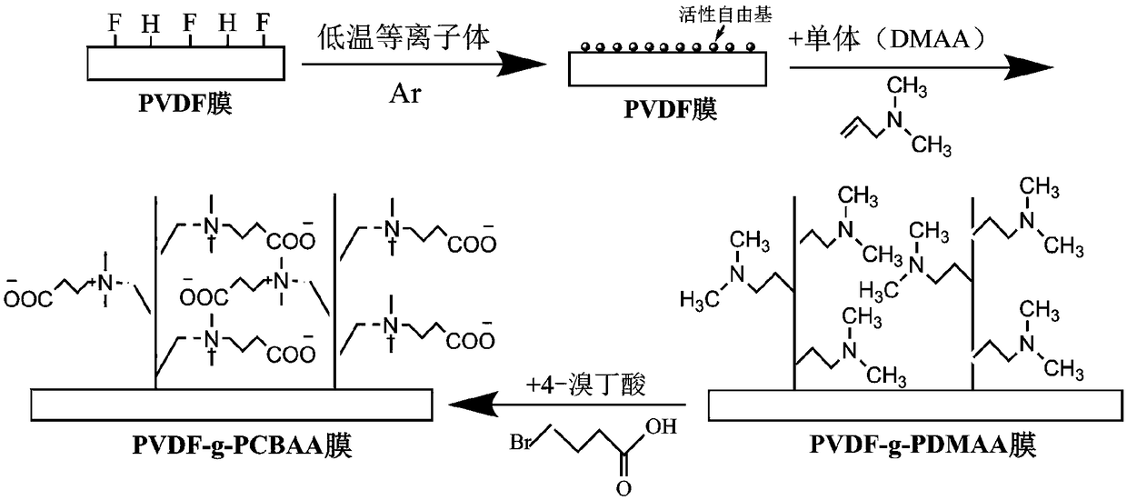 Modification method of PVDF filter membrane, the modified PVDF filter membrane, and application thereof