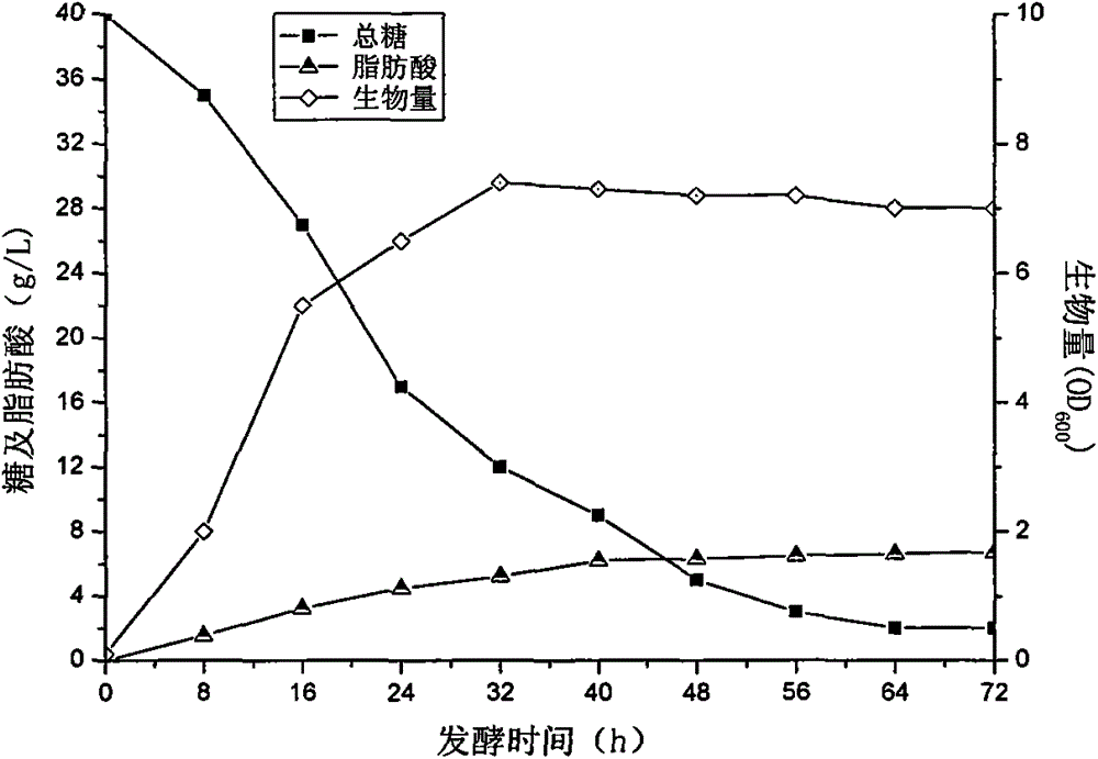 Method for preparing fatty acid by fermenting lignocellulose ionic liquid hydrolysate