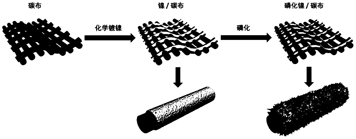 Preparation method of porous nano flaky nickel phosphide material loaded by multiple substrates