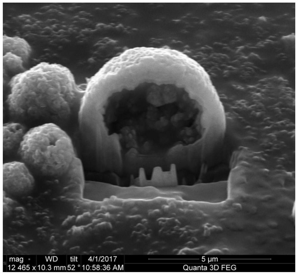 Template-free preparation method of modified hollow silicon microspheres