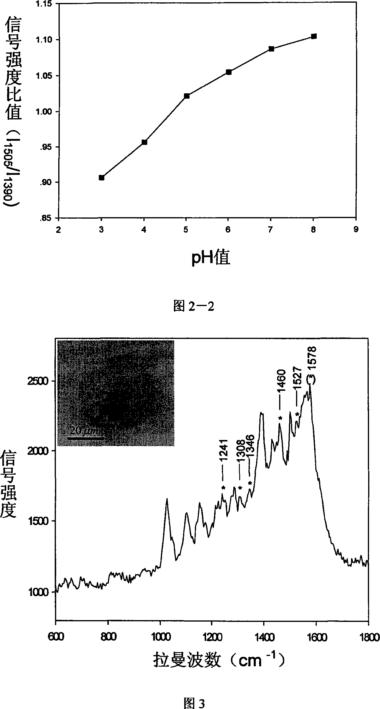 Preparation method of function surface strength laman scattering probe