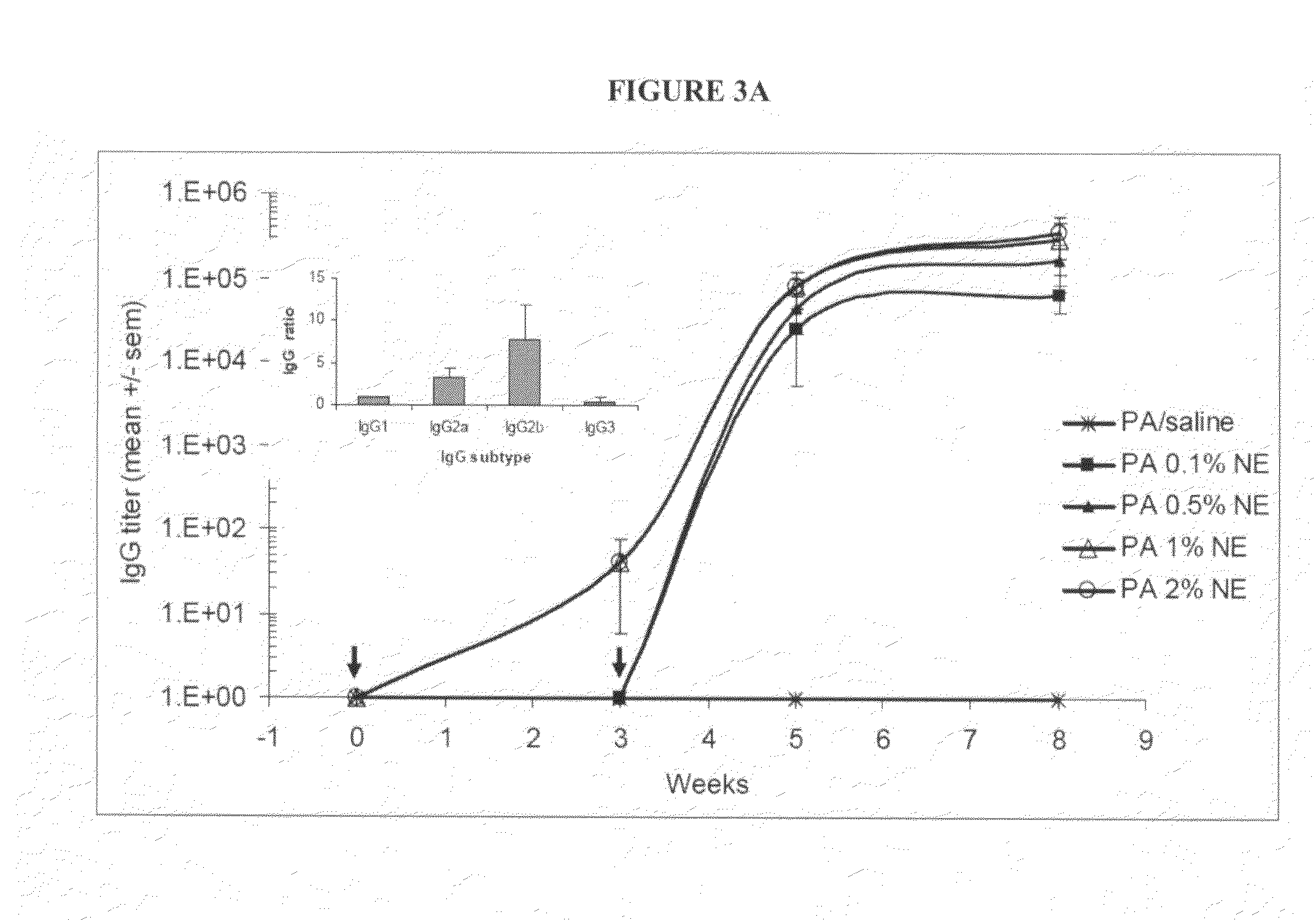 Compositions and methods for bacillus anthracis vaccination