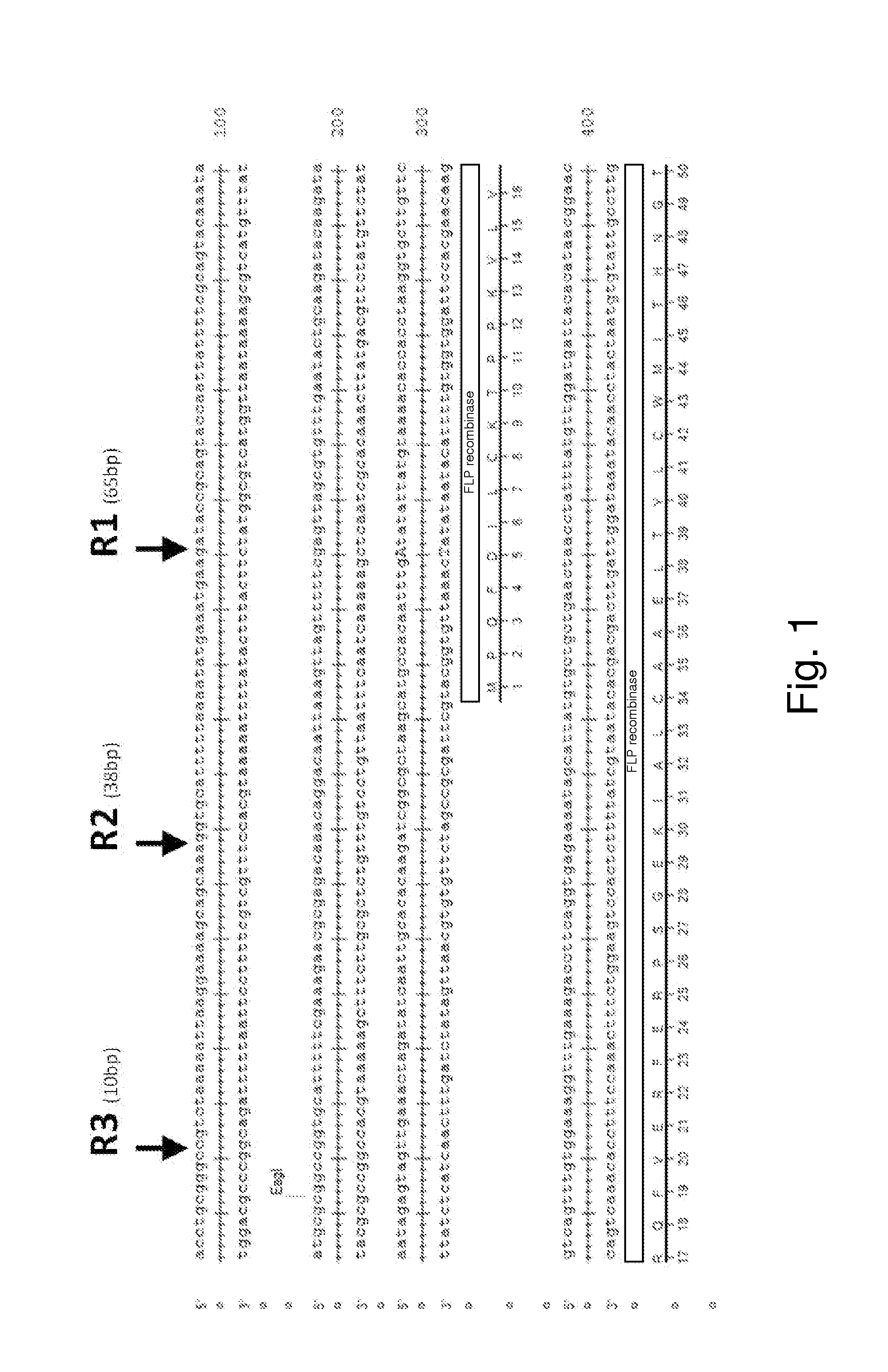 Use of an Endogenous 2-Micron Yeast Plasmid for Gene Over Expression