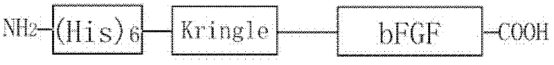 Recombinant protein specifically bound with fibrin and application thereof