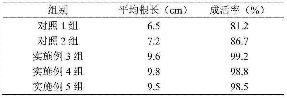 A method for raising seedlings of velvet crape myrtle high-density twig cuttings