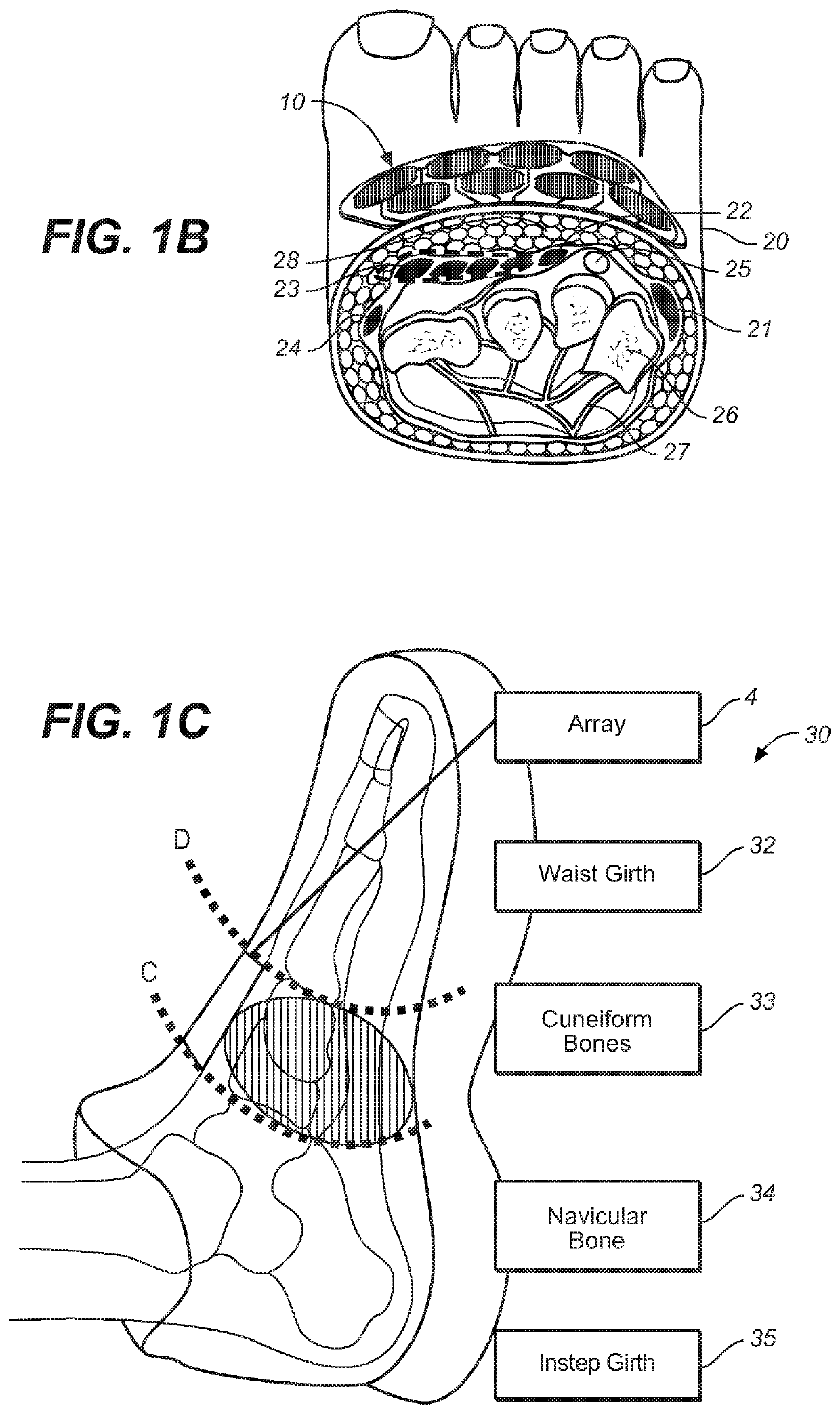 Wearable footwear sensor arrays for detection of cardiac events, body motion, and muscular actions