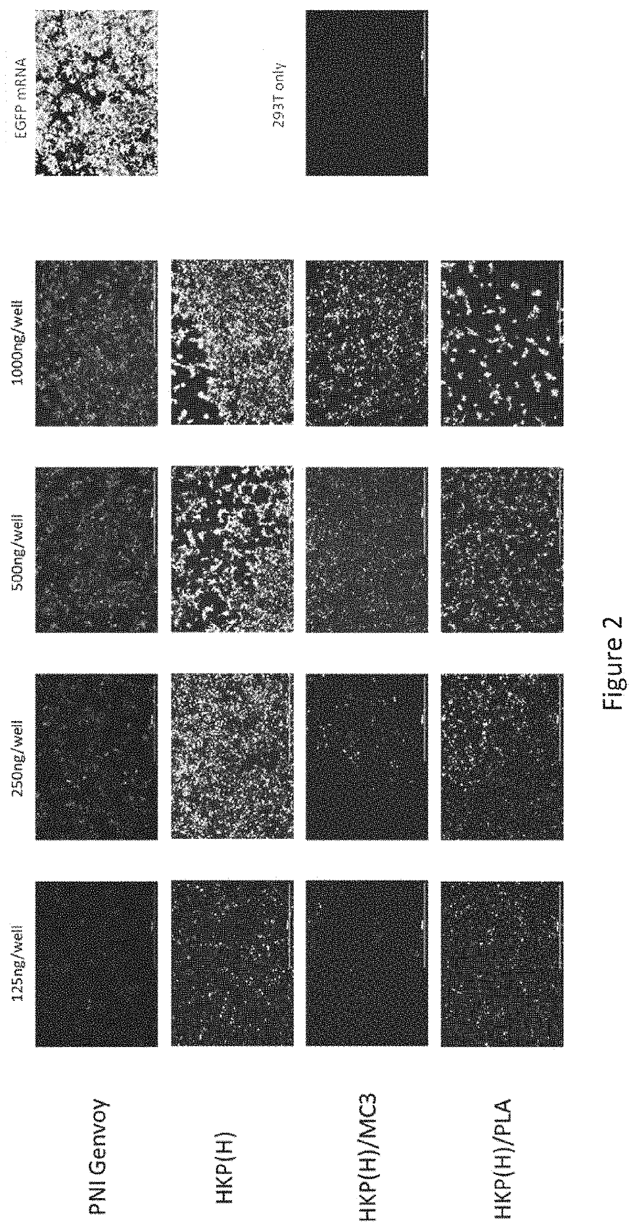 Composition and Method of mRNA Vaccines Against Novel Coronavirus Infection