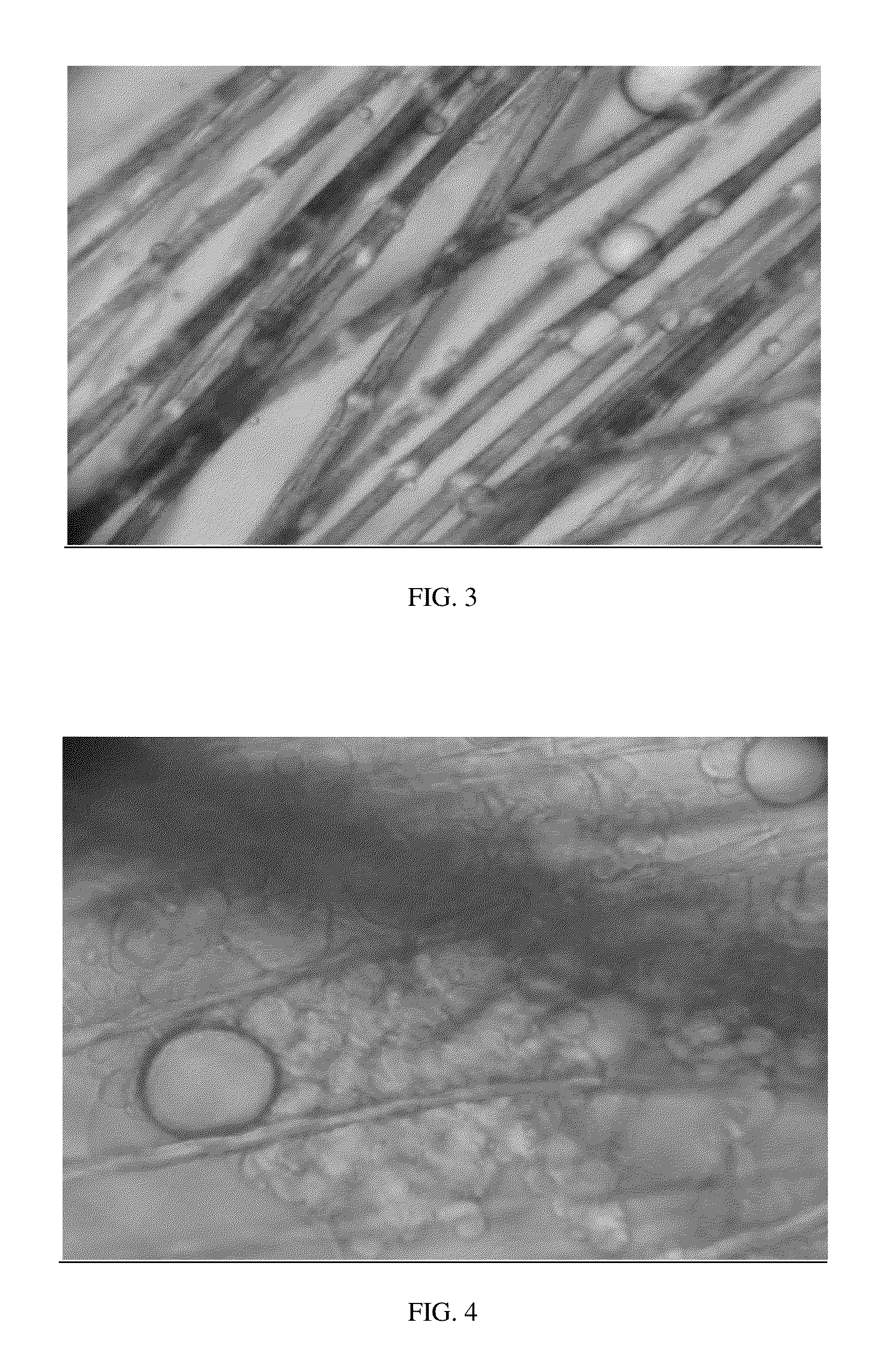 Dispersant for spilled oil