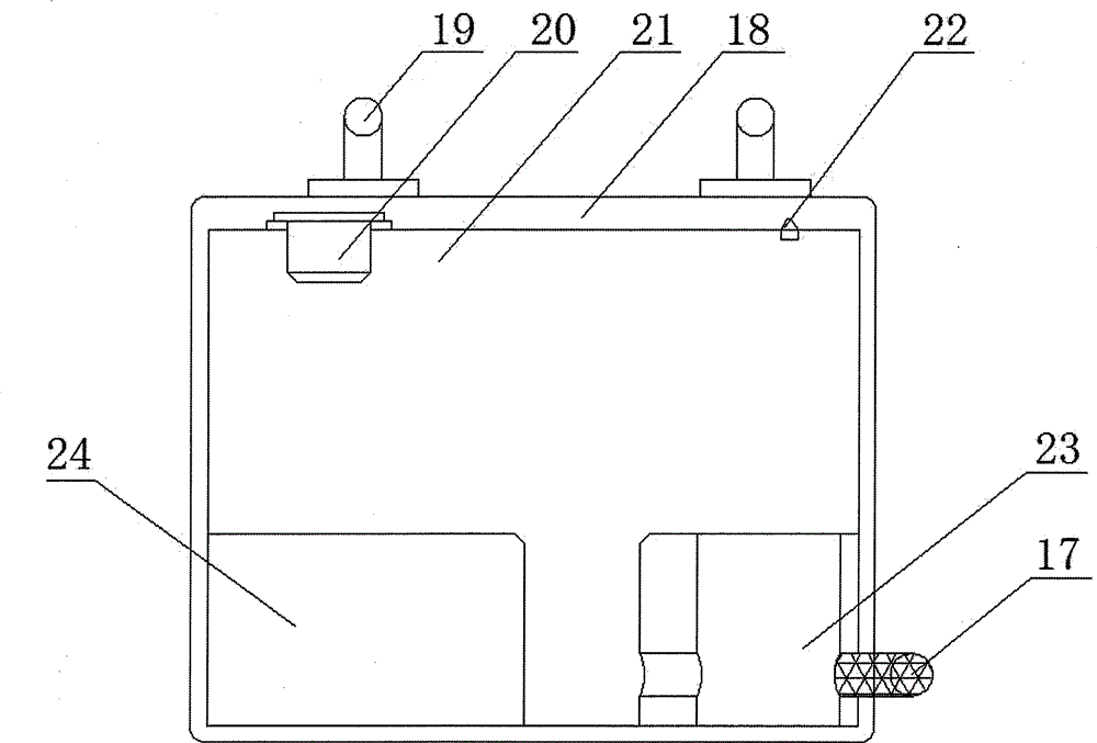 Portable chemical flower thinning device for orchard