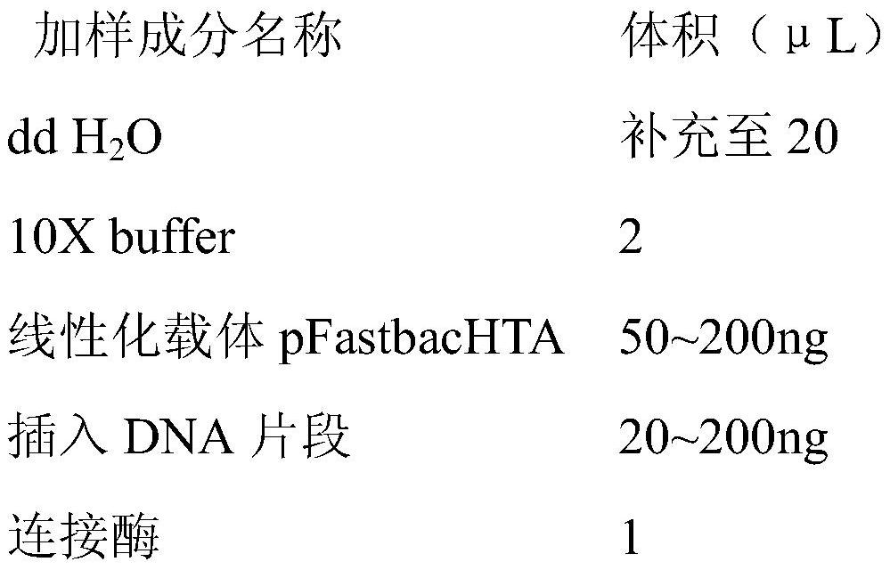 Feline parvovirus VP2 protein and prepared virus-like particles