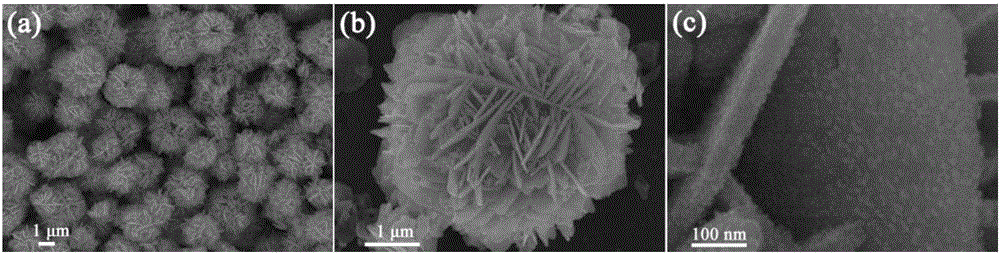 Ethanol gas sensor based on ZnO hollow flower ball and CdO nano-particle composite nanomaterial and preparation method of ethanol gas sensor