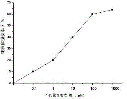 Method for screening mitochondria targeted compounds by using zebra fish