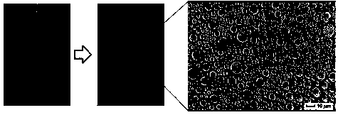 A kind of preparation method of porous ion/molecularly imprinted polymer