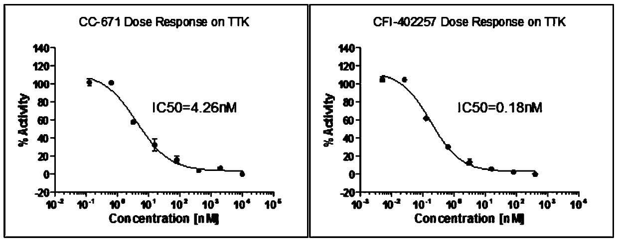 Rapid detection method of TTK enzyme activity and application of rapid detection method