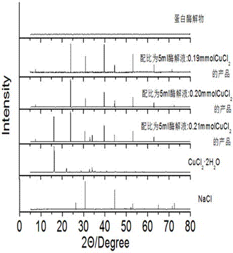 Rapid estimation method for determining synthesis proportion and chelation rate of microelement compound amino acid/small-peptide chelate through combination of spectrophotometric method and XRD (X-ray diffraction)