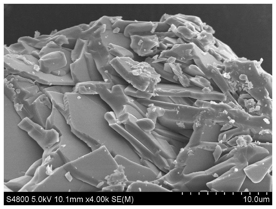 Molybdenum-doped graphite phase carbon nitride catalyst and its preparation method and application