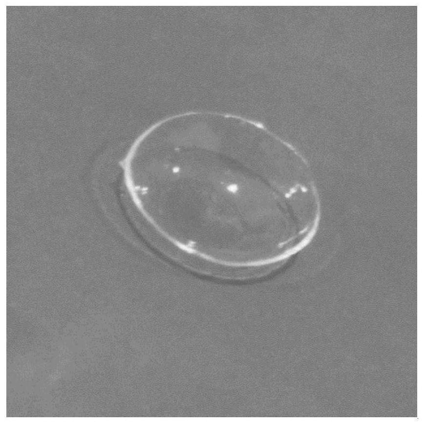 Voriconazole-coated carrageenan corneal contact lens and preparation method thereof
