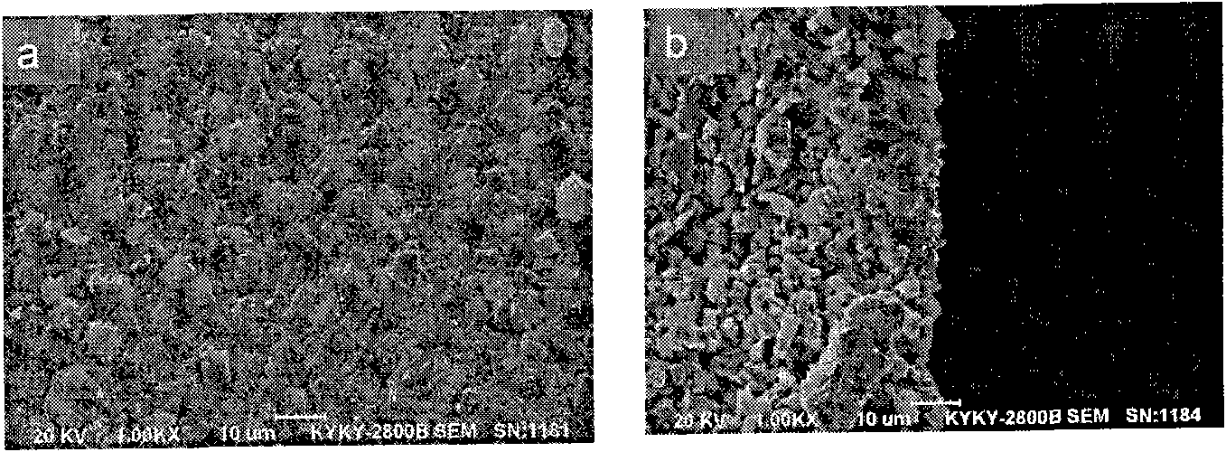 Method for synthesizing NaA zeolite membrane on macroporous carrier