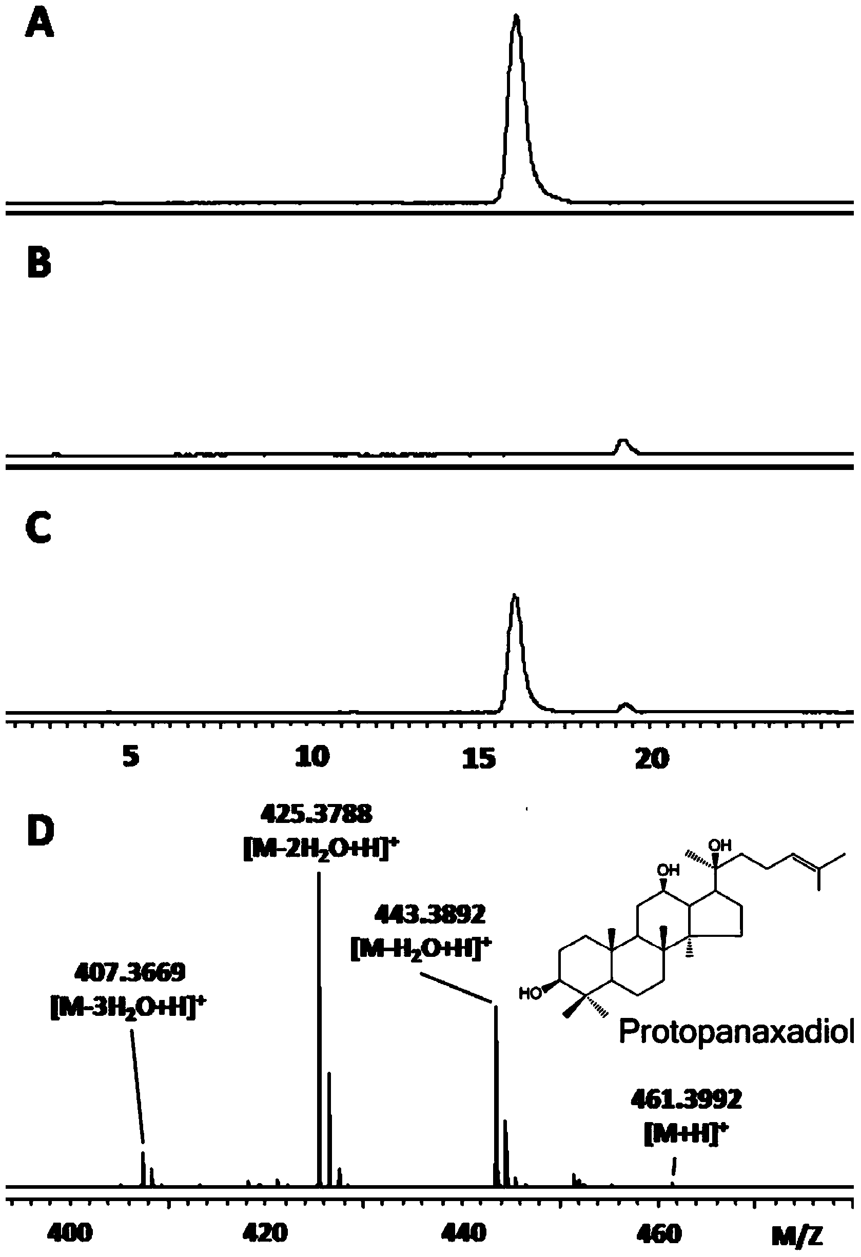 Recombinant saccharymyces cerevisiae for producing ginsengenins as well as construction method and application of same