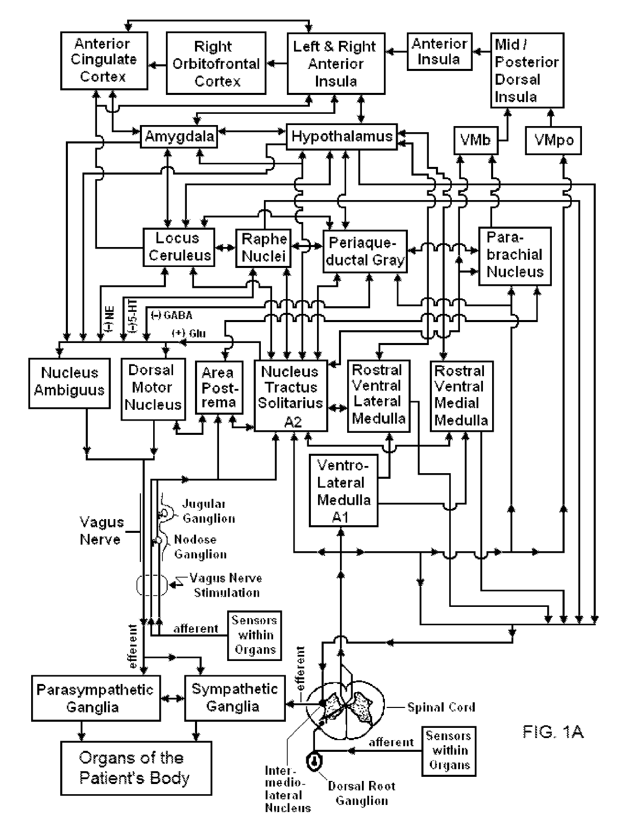 Systems and methods for vagal nerve stimulation