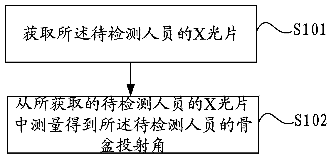 Vertebral column digital reconstruction method and system