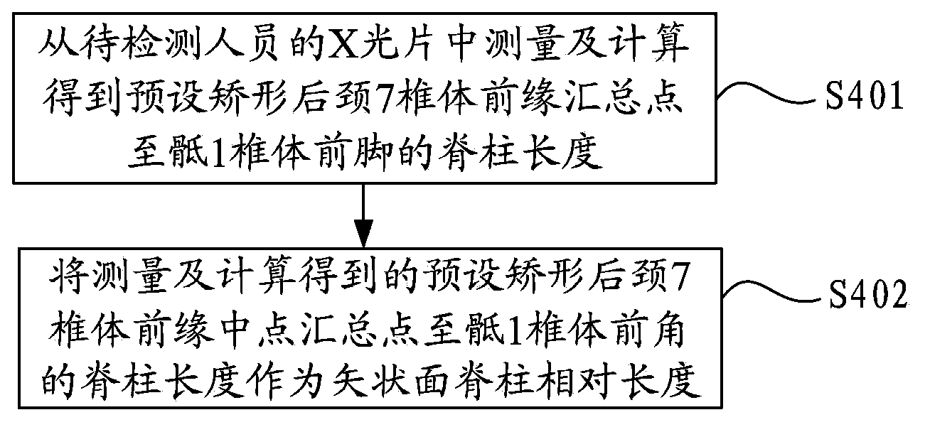 Vertebral column digital reconstruction method and system