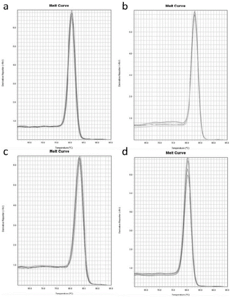 Kit for detecting TSHR (thyroid stimulating hormone receptor) gene mRNA expression through fluorescence quantitation RT-PCR (real-time polymerase chain reaction) and use method of kit
