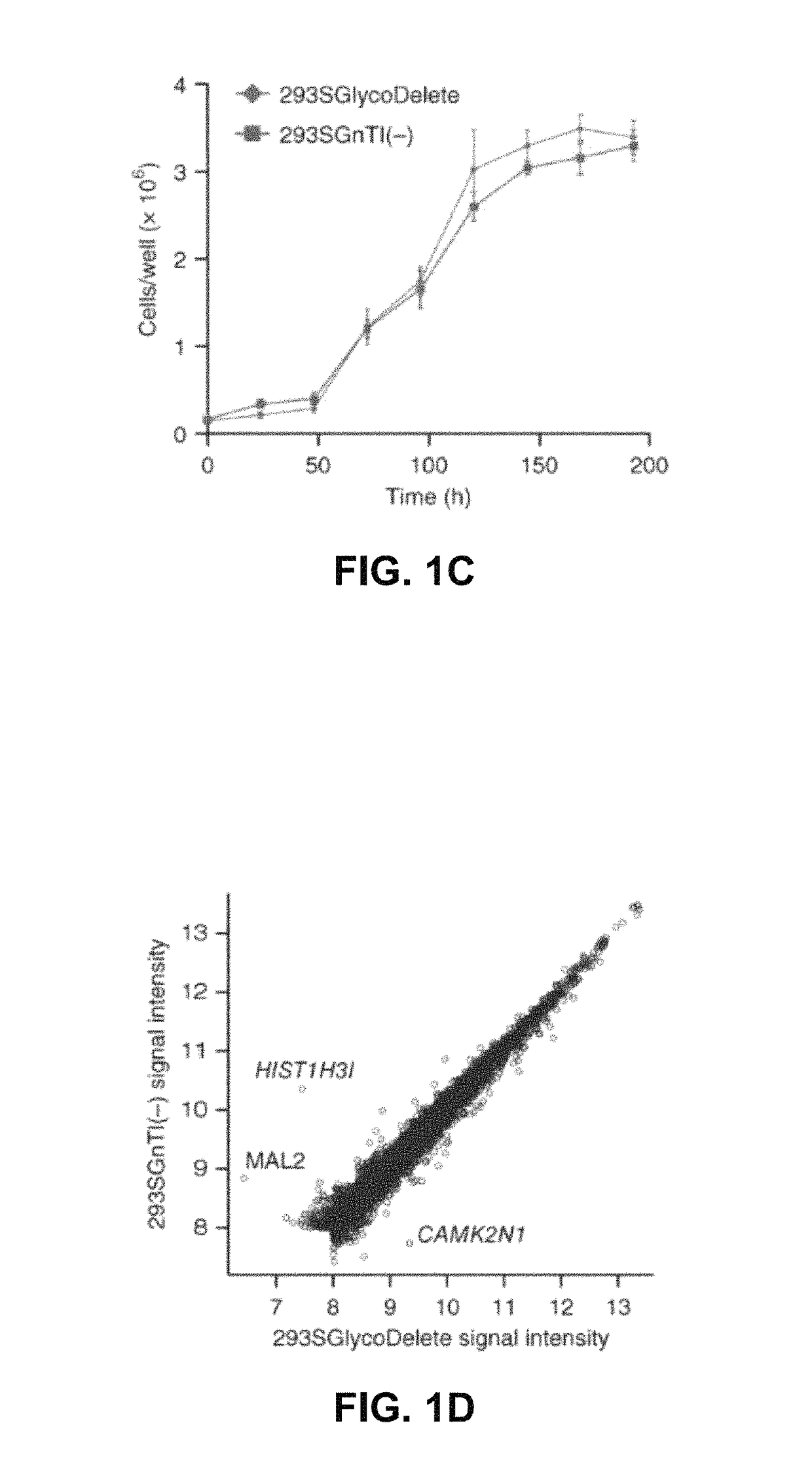 Cells producing Fc-containing molecules having altered glycosylation patterns and methods and use thereof