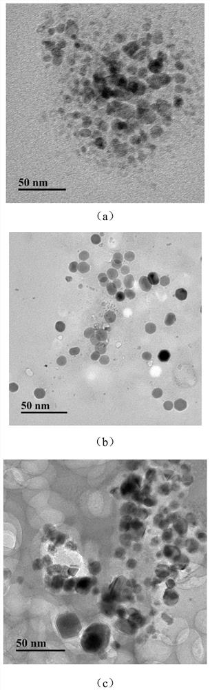 Method for detecting aflatoxin B1 based on fluorescent copper nanoparticles