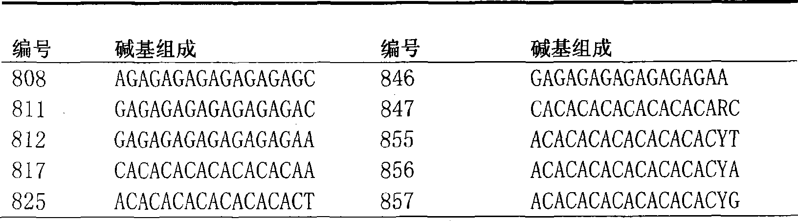 Method for constructing China asparagus bean genetic resource database based on ISSR molecular marker and uses thereof