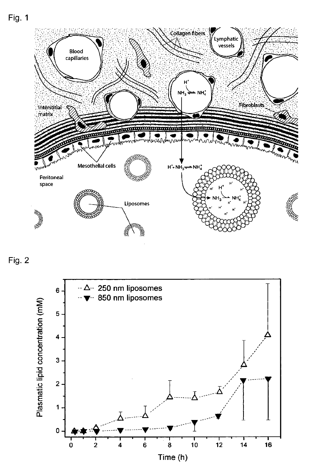 Liposome composition for use in peritoneal dialysis