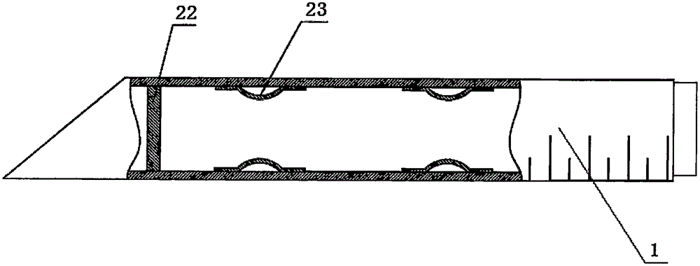 Tumor interventional treatment device