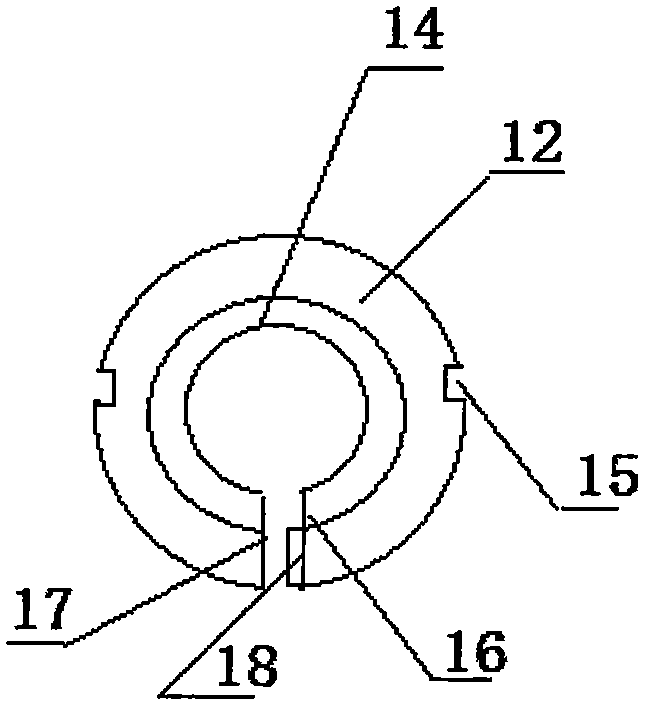 Tumor interventional treatment device