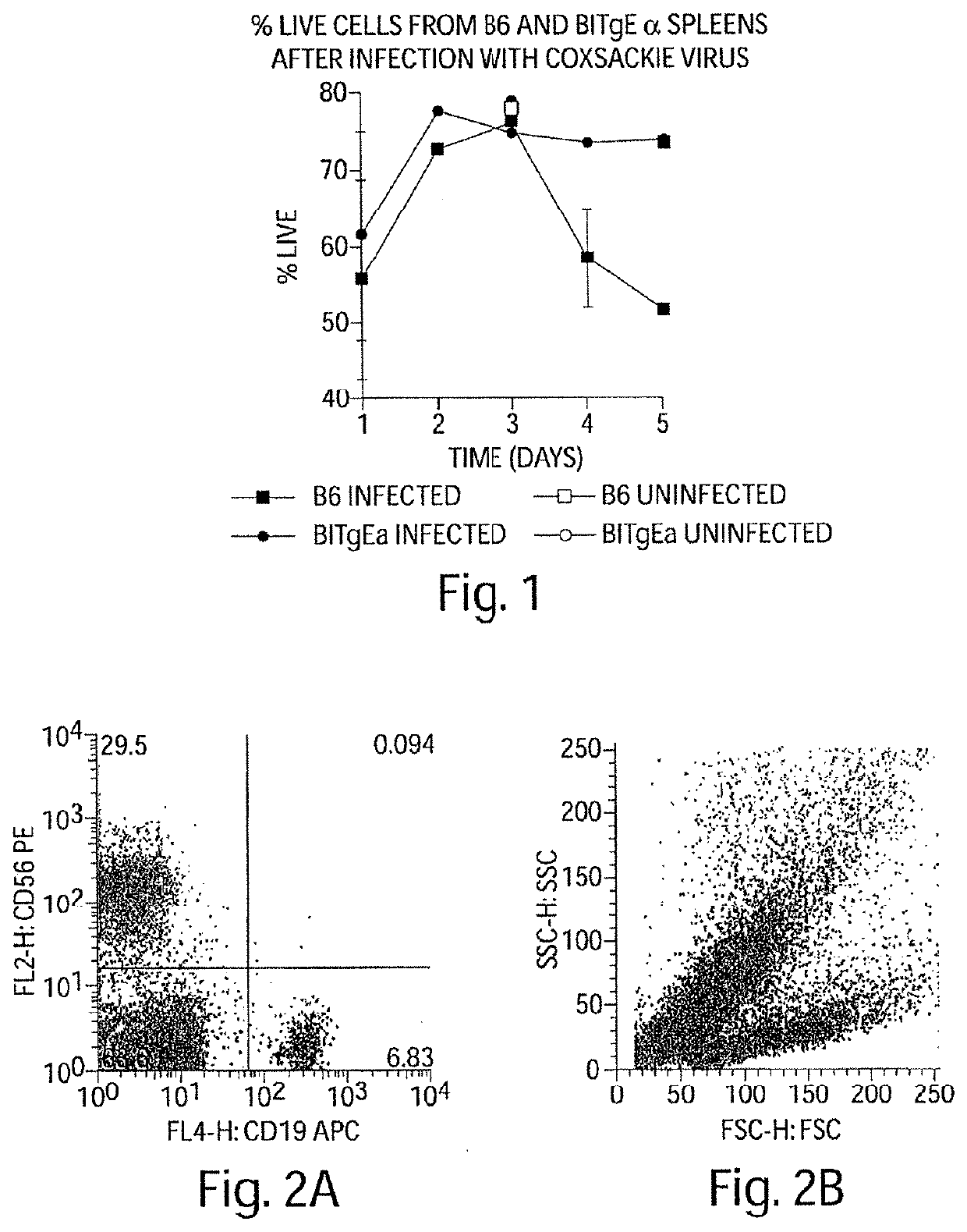 Competitive inhibitors of invariant chain expression and/or ectopic clip binding