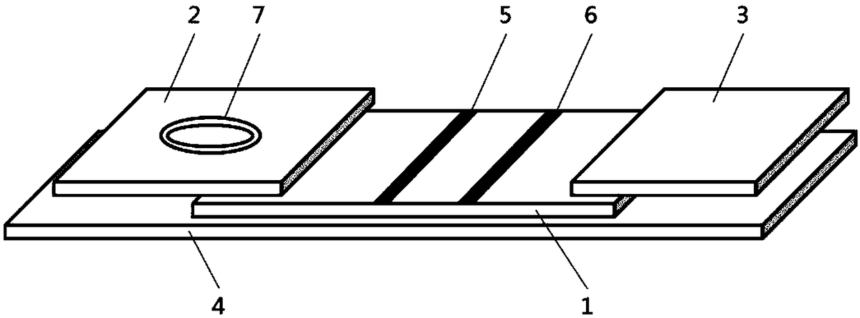 Application of synovial fluid alpha defensin in detection and diagnostic kit for prosthetic joint infection