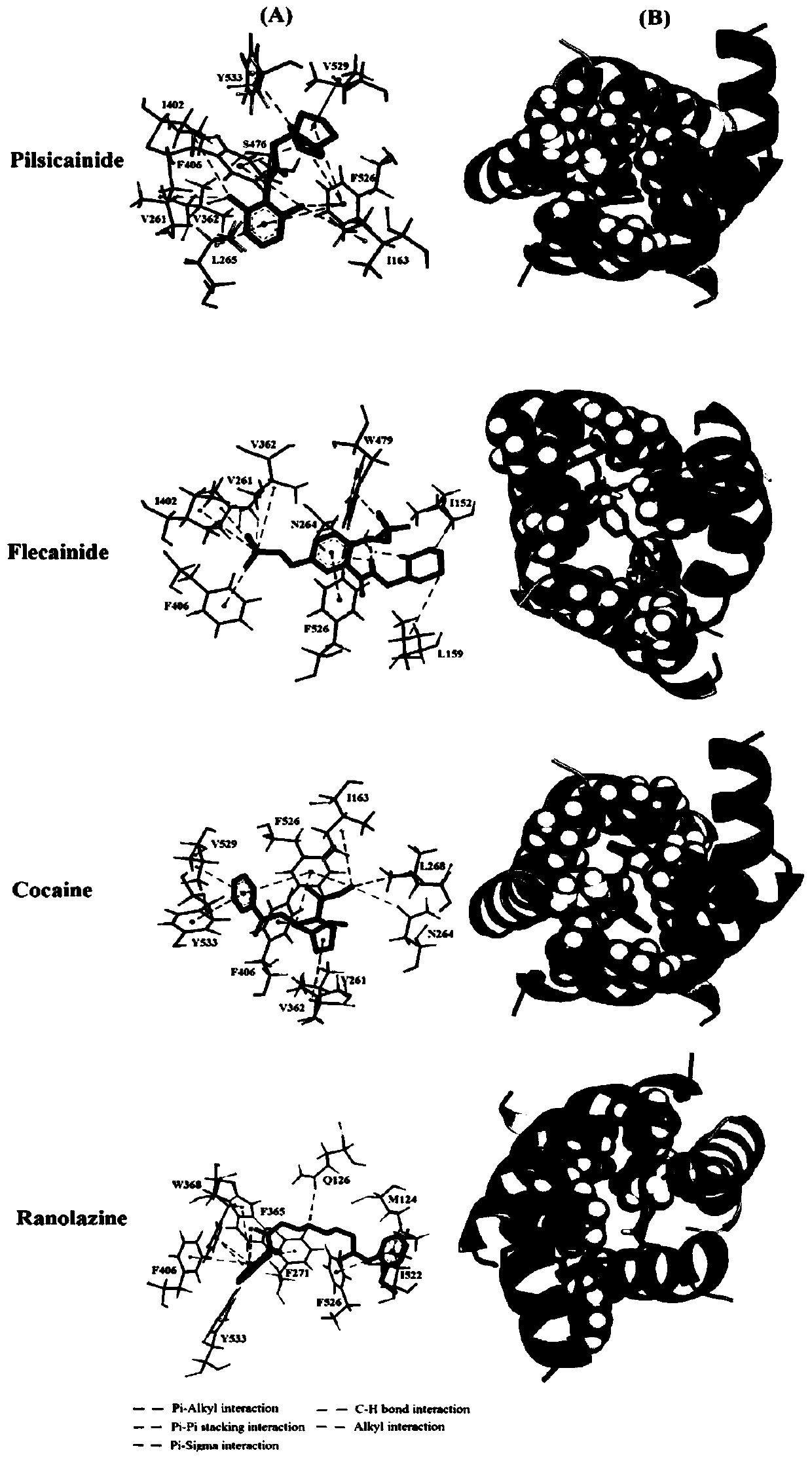 A structure prediction method for voltage-gated sodium ion channels