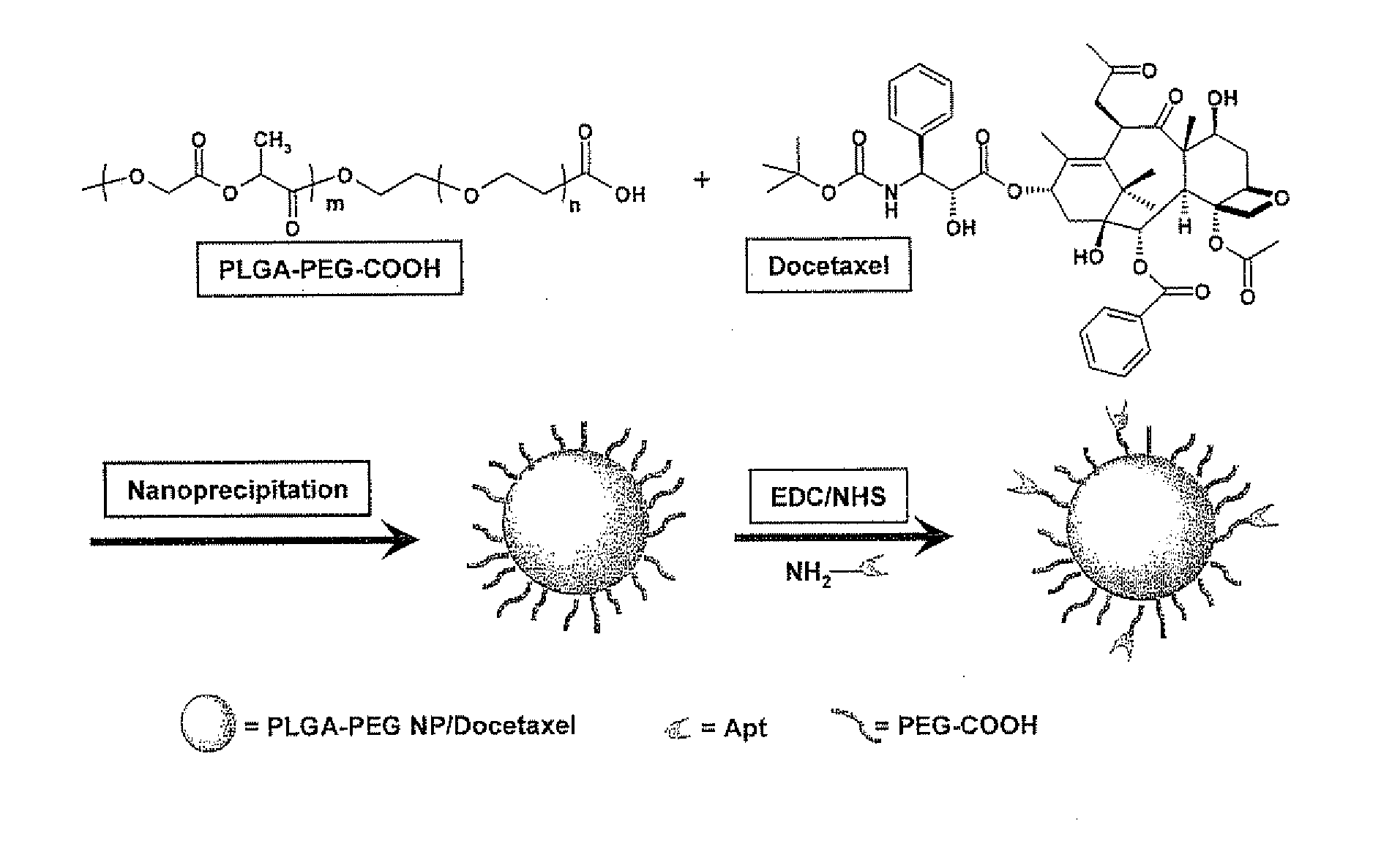 System for targeted delivery of therapeutic agents