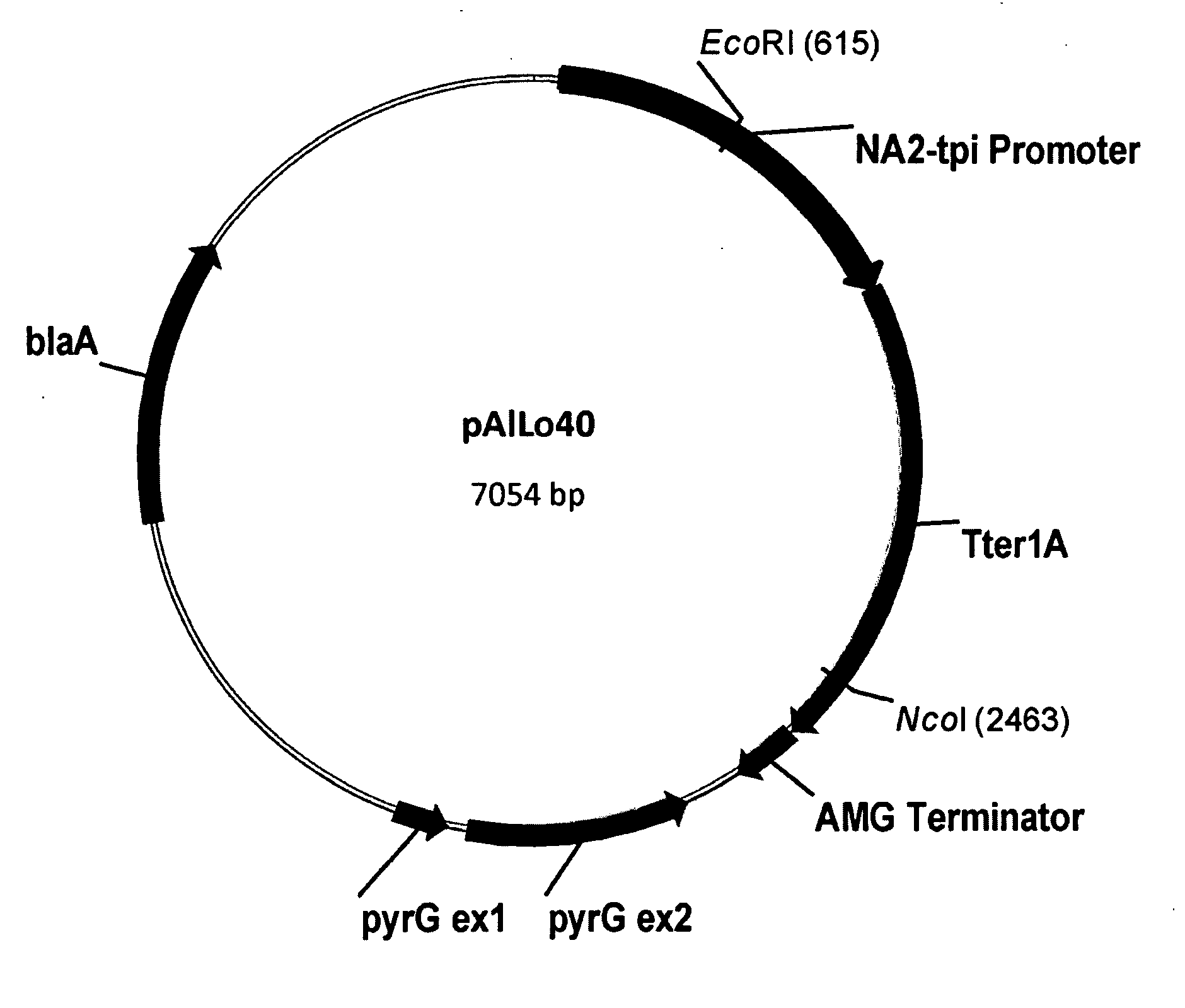 Polypeptides having beta-glucosidase activity and polynucleotides encoding same