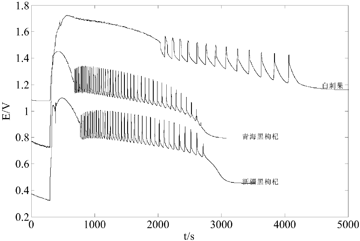 Method for identifying genuineness and fake of lycium ruthenicum based on nonlinear chemical fingerprint spectrum technology